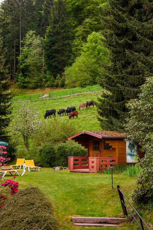 Holzschuhs Schwarzwaldhotel Baiersbronn Luaran gambar